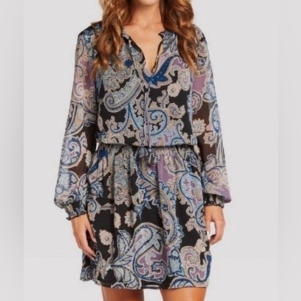 Allison Joy Evereve Astoria Black Multicolor Paisley Print Easy Waist Dress.